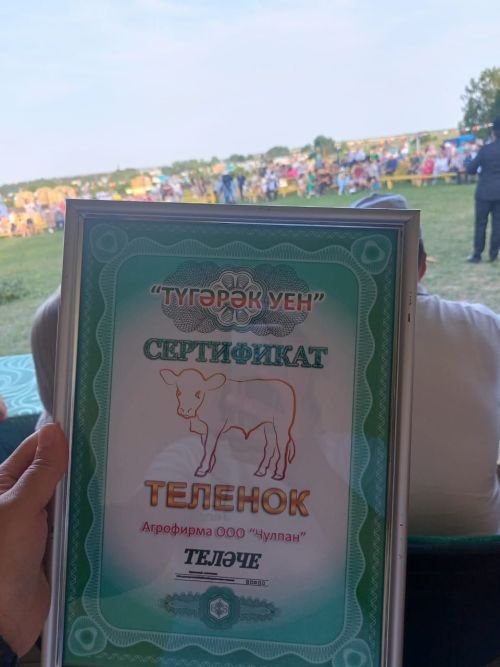 Хәзерге вакытта “Теләче” район газетасына язылу бара