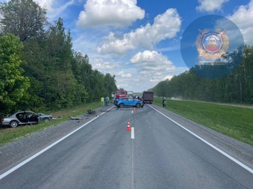 Татарстанда 1 540 юл-транспорт һәлакәте теркәлгән