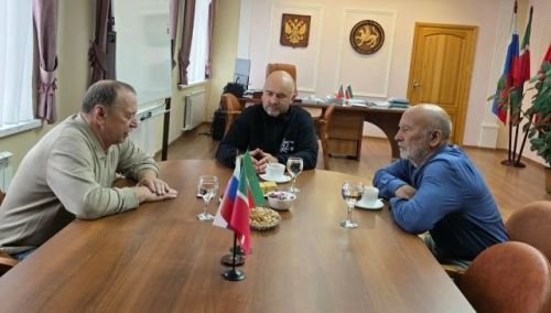 Чираттагы гуманитар йөкне китерү мәсьәләләре буенча фикерләштеләр