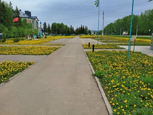 Хәрби Дан аллеясында чара узачак