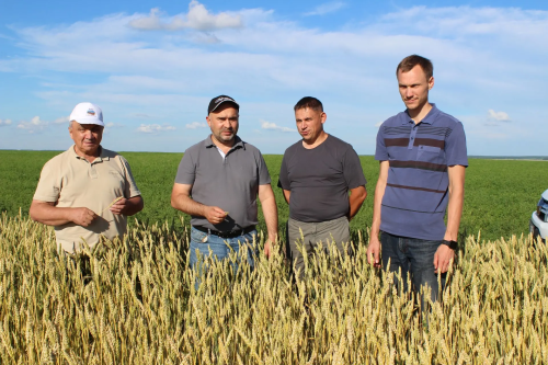 Кырлардагы эш барышы белән таныштылар