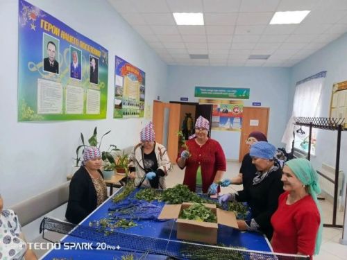 Гуманитар ярдәм әзерләүгә сез дә кушыла аласыз