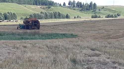 17 августта Татарстанда томан һәм көчле яңгыр көтелә