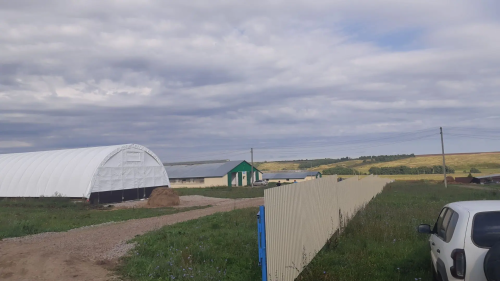 Заманча терлекчелек комплекслары - бүгенге көн таләбе