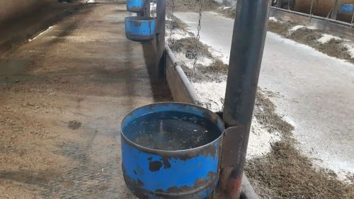 Районыбызда иллегә якын крестьян-фермер хуҗалыгы бар