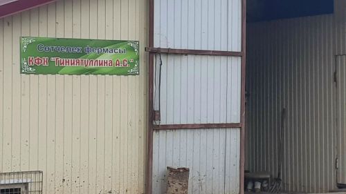 Районыбызда иллегә якын крестьян-фермер хуҗалыгы бар