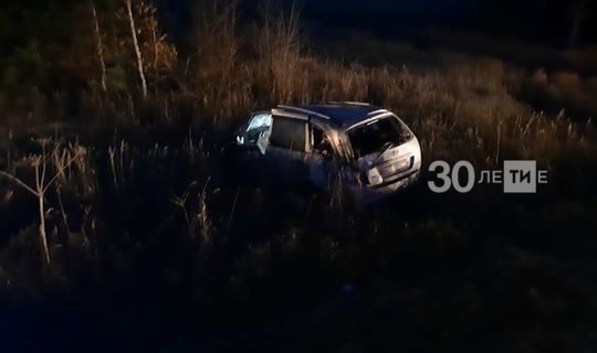 Татарстан трассасында җиңел автомобиль фурага бәрелгән һәм юл читенә төшеп киткән