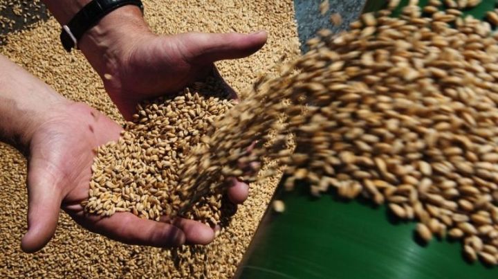 Аграрии Татарстана собрали первый миллион тонн зерна нового урожая