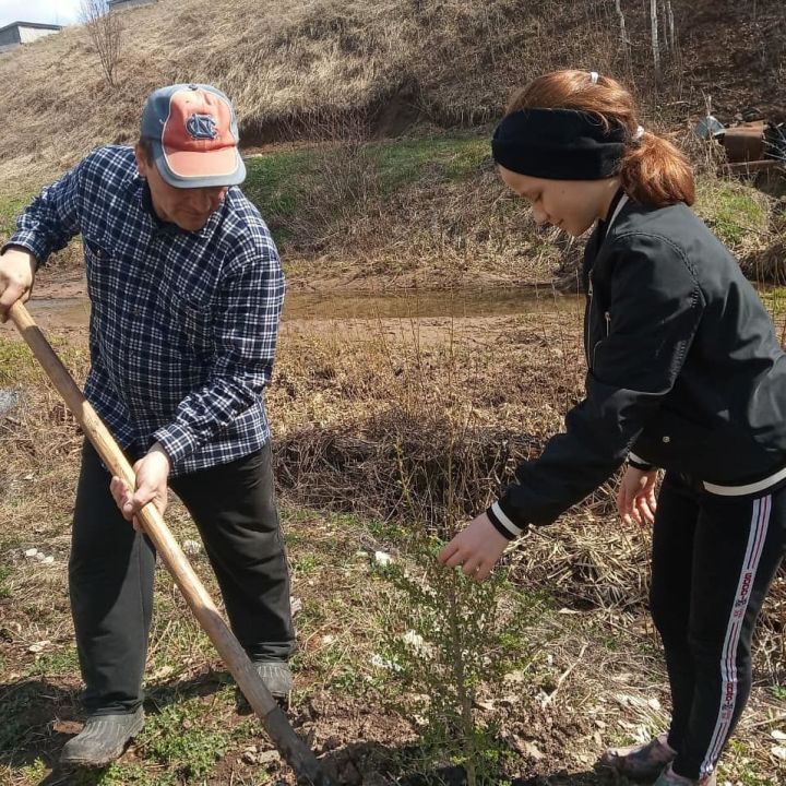 Баландыш мәктәбе “Хәтер бакчасы” («Сад памяти») акциясенә кушылды