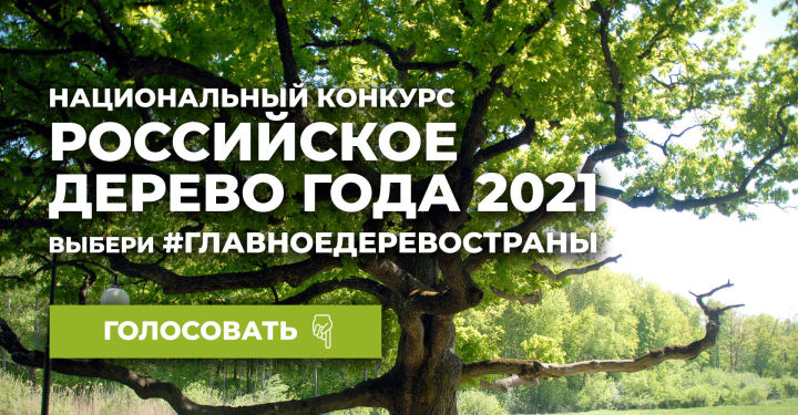 ТР Урман хуҗалыгы министрлыгы «Россия агачы»  конкурсында республика өчен тавыш бирергә чакыра