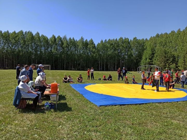 Сабада егетләрне көрәштерделәр