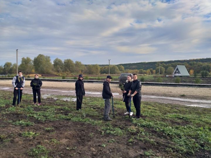 “Урманнарны саклыйк” Бөтенроссия акциясенә Алан авыл җирлеге дә кушылды