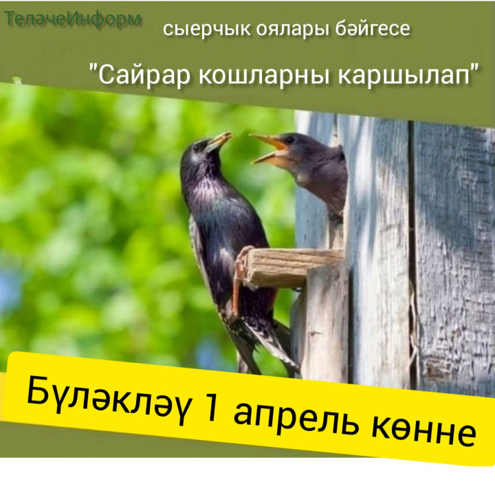Хөрмәтле райондашлар, Яңа бәйгебезгә старт бирәбез!