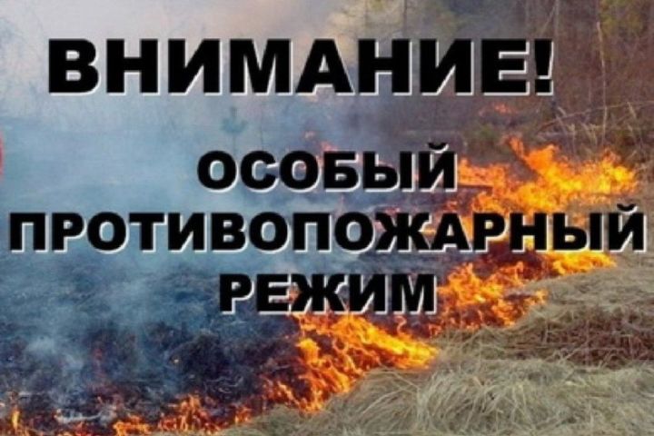 О введении на территории Республики Татарстан особого противопожарного режима