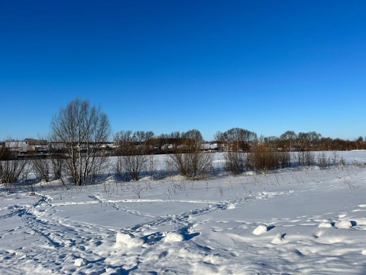 Синоптик Татарстанда кар катламы кайчан барлыкка килүе турында сөйләде