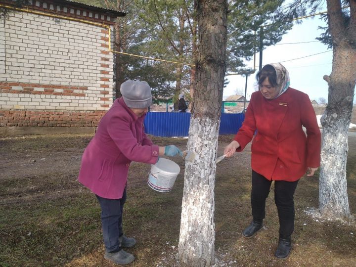 Чисталык икеайлыгы башланды