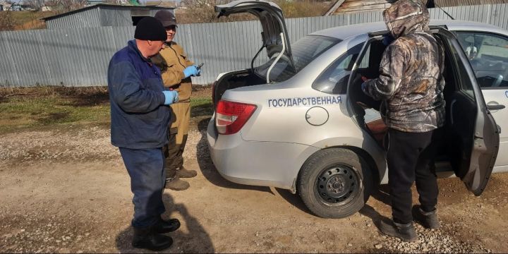 Ветеринария хезмәткәрләре прививкалар ясау белән мәшгуль