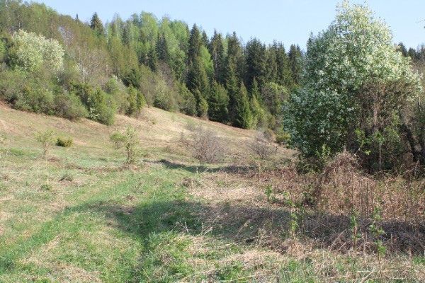 Татарстанга тизлеге 20 метрга кадәр җитәчәк җил һәм яшенле яңгыр якынлаша