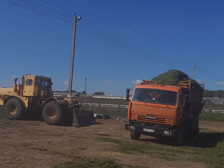 Терлек азыгы әзерләү дәвам итә