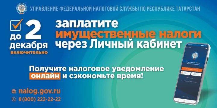 Салым инспекциясе номерлары