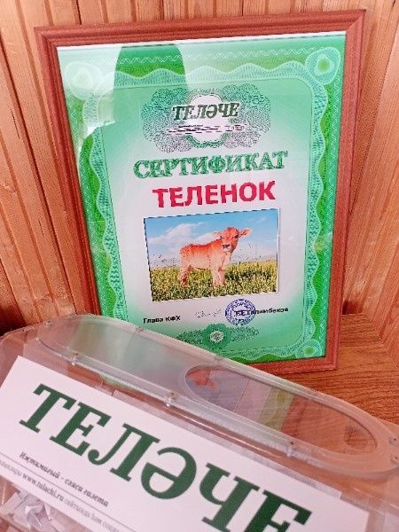 «Теләче» газетасына язылучылар арасында уйнатылган бүләкләр исемлеге