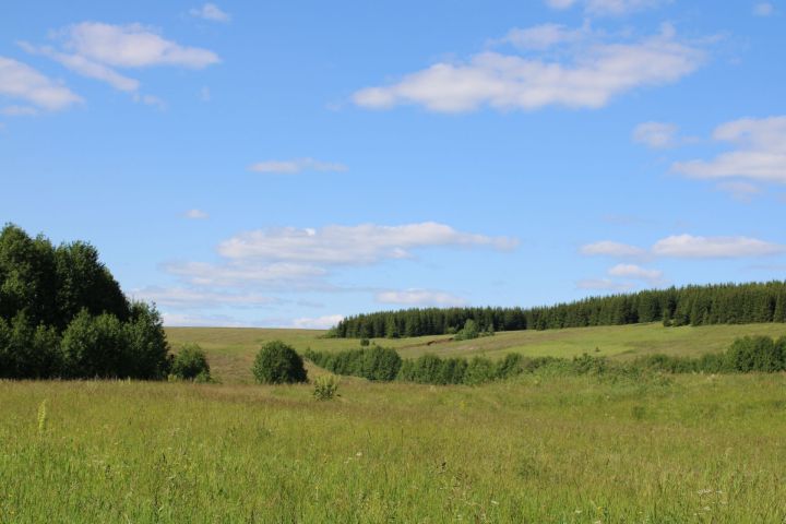 Талпан тешләгәннән прививканы кайда ясатып була