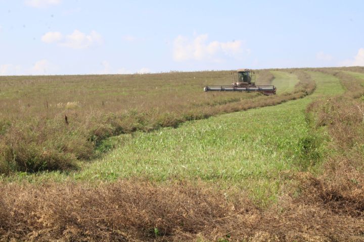 Премияләр билгеләнде