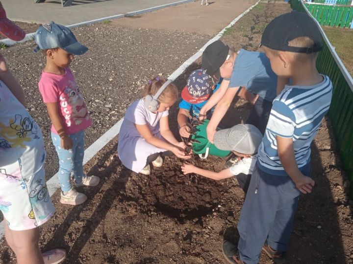 Урман хезмәткәрләре көне уңаеннан агач утырттылар