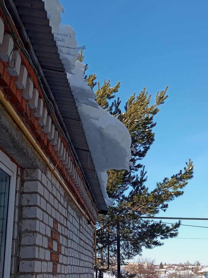 Боз сөңгеләреннән сакланыгыз!