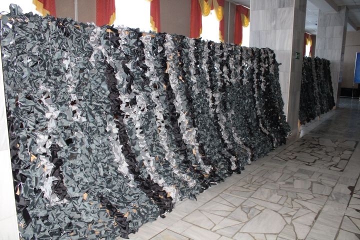 Актив катнаштылар
