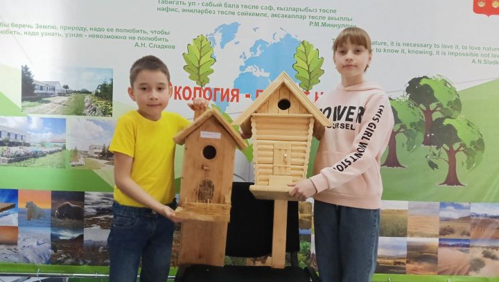 #иңшәпсыерчыкоясы