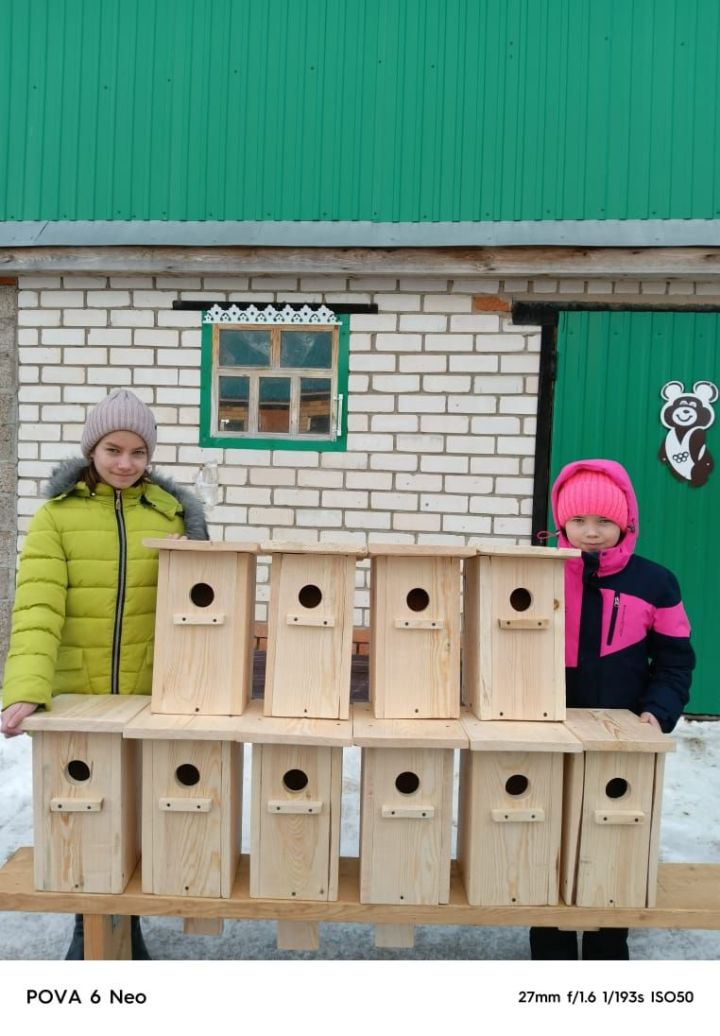 «Иң шәп сыерчык оясы» бәйгесендә  катнашучыларыбыз бар