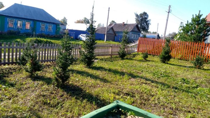 Тирә-юнебез чиста, матур булсын!