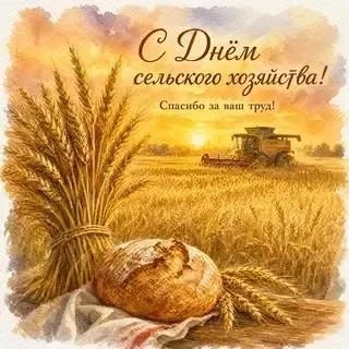 Бәйрәм котлавы