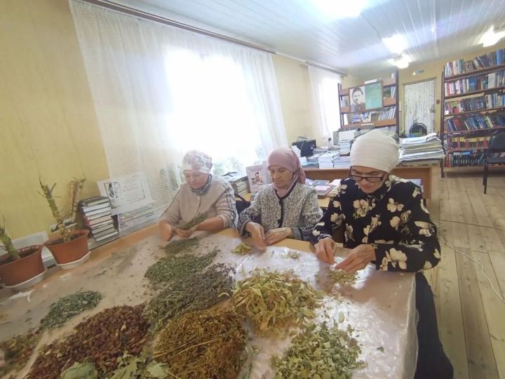 Өлкәннәр тәмле хуш исле үләннәрдән чәй әзерләде