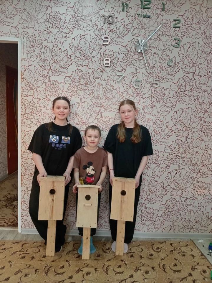 Сыерчык оясы бәйгесендә катнашалар