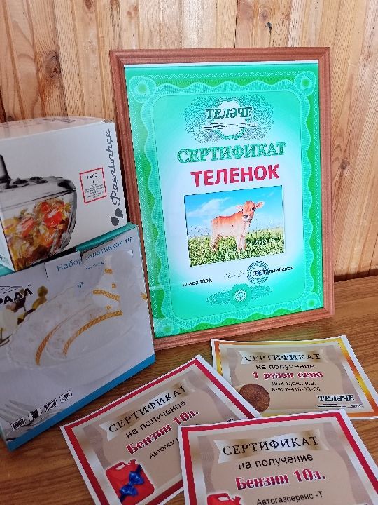 «Теләче»гә язылсаң- бозау отасың