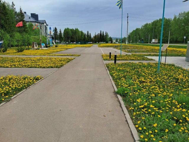 Хәрби Дан аллеясында чара узачак