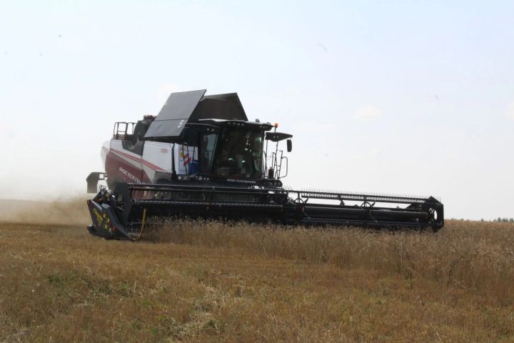 Премияләр билгеләнде